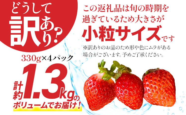 【訳あり】 期間限定 いちご あまおう 苺 イチゴ 1.3kg 【訳あり品】あまおう（小玉）、4パック（330g/パック）【2025年2月以降順次発送】 フルーツ 果物 くだもの 訳あり 小玉 ※北海