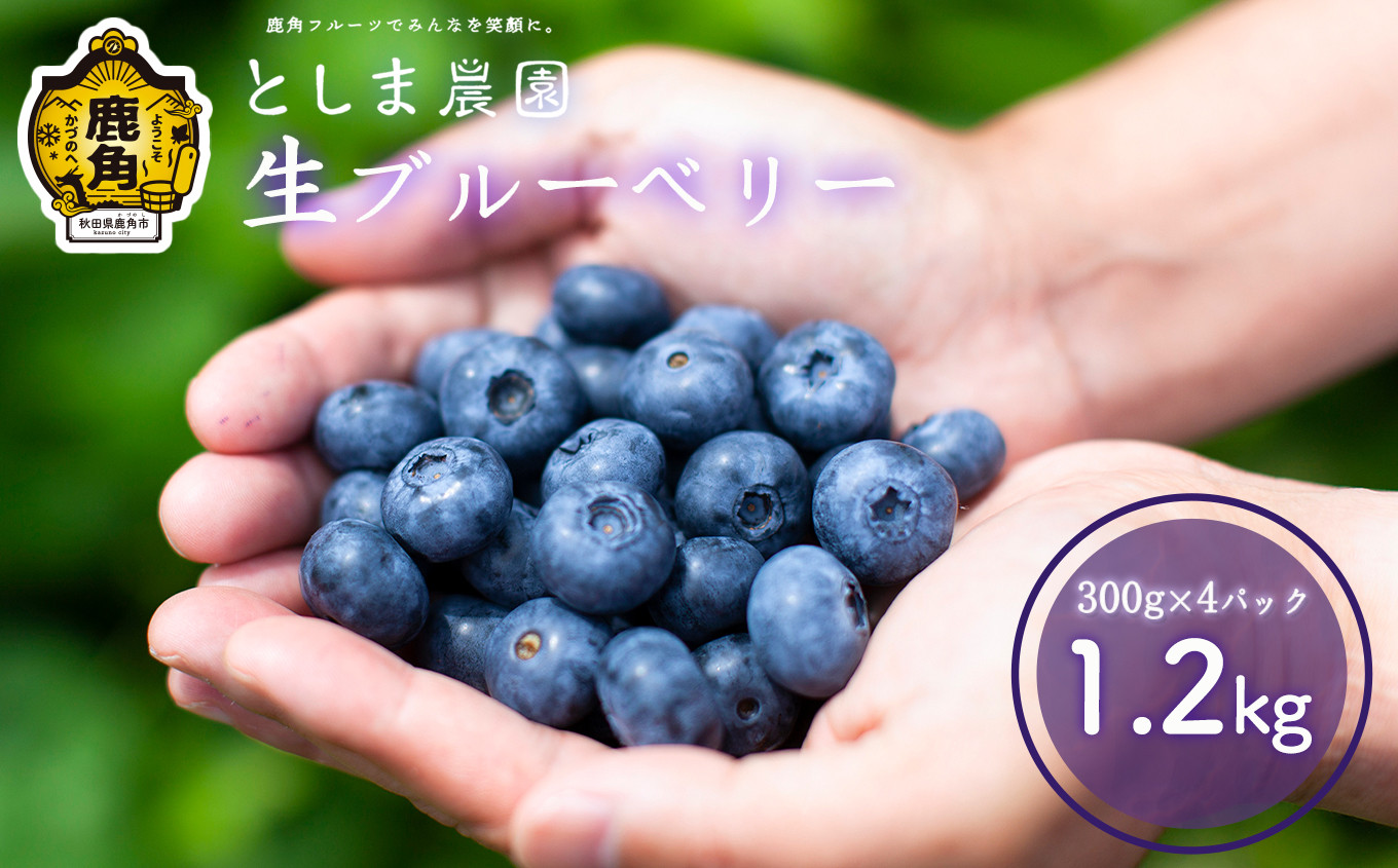 
                  《 先行予約 》令和8年産 生ブルーベリー 良品 1.2kg（300g × 4パック）●2026年7月中旬発送【としま農園】 旬 県産ブルーベリー 小分け お中元 お歳暮 お取り寄せ 母の日 父の日 グルメ ギフト 故郷 秋田 あきた 鹿角市 鹿角 送料無料
                