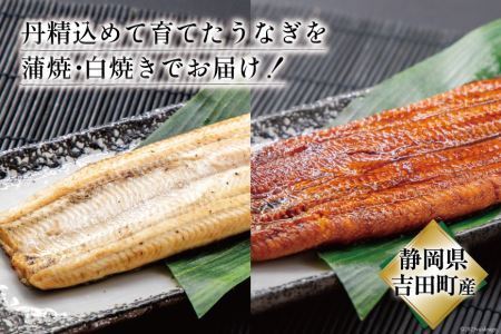 うなぎ 国産 蒲焼 白焼 計4尾 うなぎ(各130g以上×2)