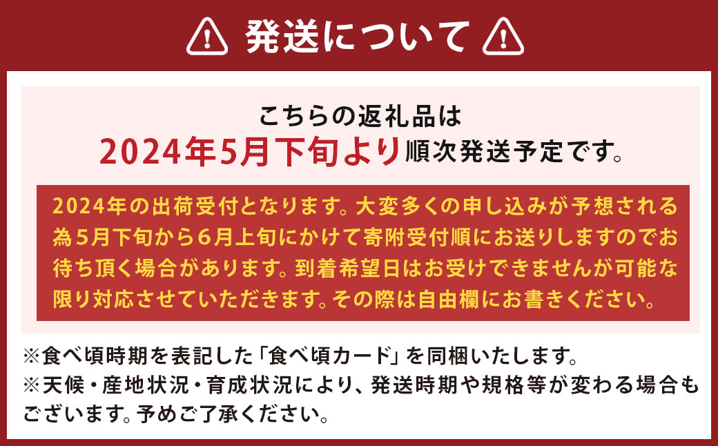 【2024年5月下旬より発送開始】タカミメロン (極)  5kg 程度 (3～5玉)