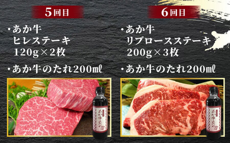 【全6回定期便】あか牛 ステーキ 食べ比べ【有限会社 三協畜産】 国産 赤身 赤牛 褐牛 あかうし 褐毛和種 肥後 冷凍  [ZEB032]