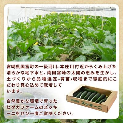 ふるさと納税 国富町 【野菜ソムリエサミット銀賞受賞!あなたにズッキーニ2kg(10本)】ヒダカファーム 宮崎県国富町 |  | 03
