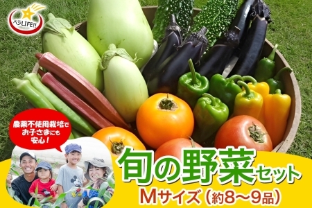 旬の野菜セット Mサイズ 約8~9品 農家直送 栽培期間中農薬不使用 千葉県我孫子市