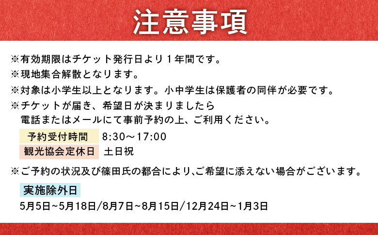 世界チャンピオンから教わるバルーンアート体験チケット(１組分)