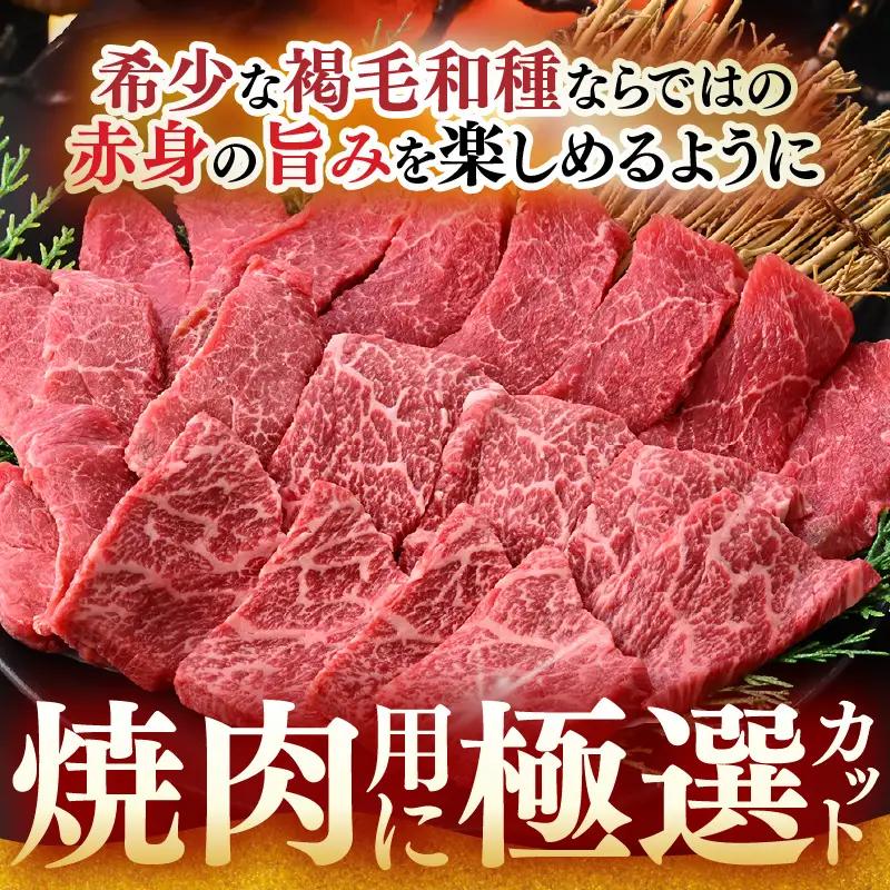 希少 越前福牛 旨み極まる 赤身焼肉盛り合わせ 450g 牛肉 国産和牛 焼肉 冷凍 贈答 ギフト [B-1808] 