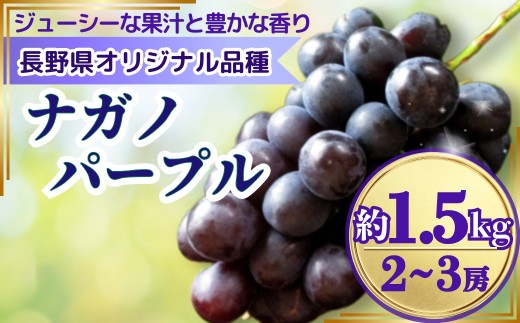 【2026年先行予約】ナガノパープル 約1.5kg(2~3房)｜ 果物 フルーツ 黒ぶどう 葡萄 ブドウ 種無し 種なし 皮ごと 千曲市 長野県 信州