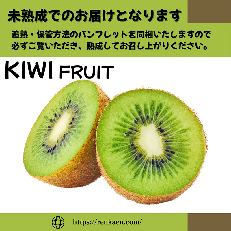 【先行予約】【2025年11月上旬から発送】キウイフルーツ ヘイワード約2.5kg 大中小サイズ混合 家庭用 | 松山市産 果物 くだもの キウイ フルーツ おすすめ 人気 お取り寄せ 期間限定 数量