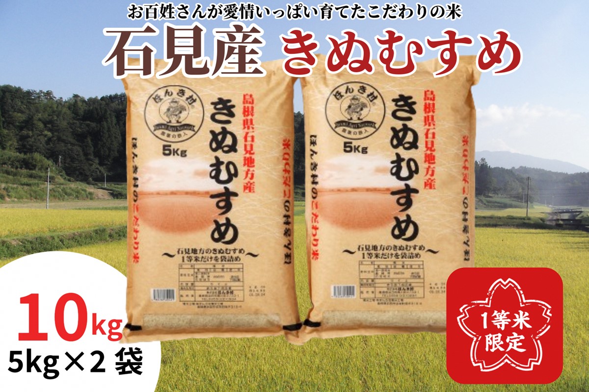【令和7年産】浜田市産きぬむすめ10kg お取り寄せ 特産 お米 精米 白米 ごはん ご飯 コメ 新米 新生活 応援 準備 10キロ 10kg 10キロ【197_1957】