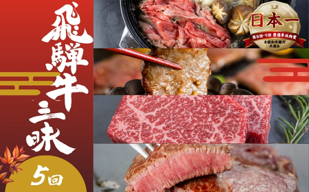 【定期便】飛騨牛 三昧 定期便 5回 飛騨牛 トキノ屋食品 [mt1729]