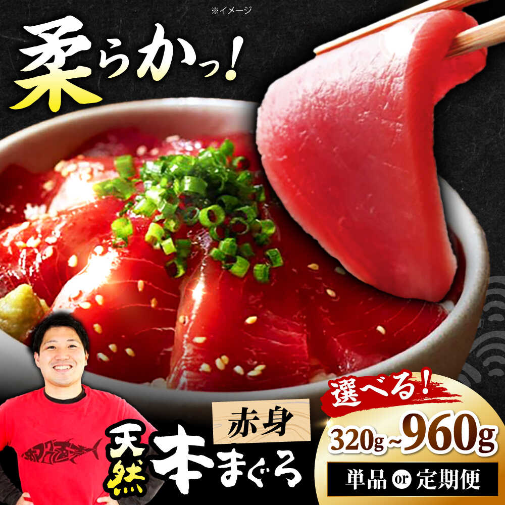 【ふるさと納税】【選べる容量・定期便】極上！たね熟天然本まぐろ赤身 まぐろ マグロ 鮪 赤身 刺し身 刺身 小分け 冷凍 海鮮 新鮮 魚介類 海鮮丼 送料無料 ふるさと納税 贈答 ギフト プレゼント 人気 おすすめ 特産品 取り寄せ 高槻 大阪府高槻市/本まぐろ直売所[AOCE001]