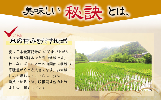 R5-834．【令和5年産】四万十川の支流で育った山間米2ｋｇ×5袋（計10ｋｇ）【1～2合炊飯する方におススメ！】（ヒノヒカリ）