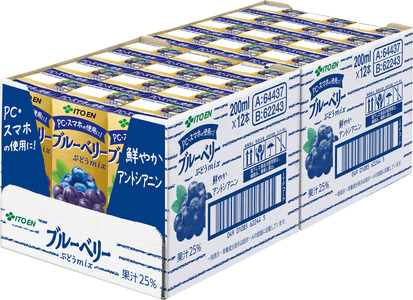 【定期便12回】紙ブルーベリーミックス２００ｍｌ　２４本入り