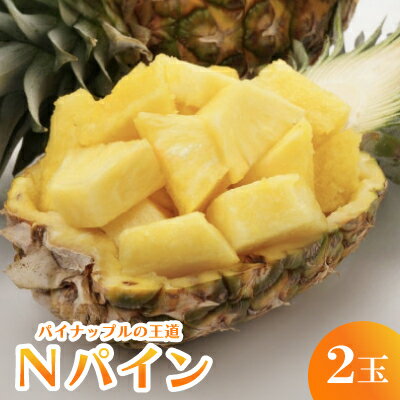 【ふるさと納税】【2026年7月から順次発送】パイナップルの王道 Nパイン2玉【配送不可地域：離島】【1577568】