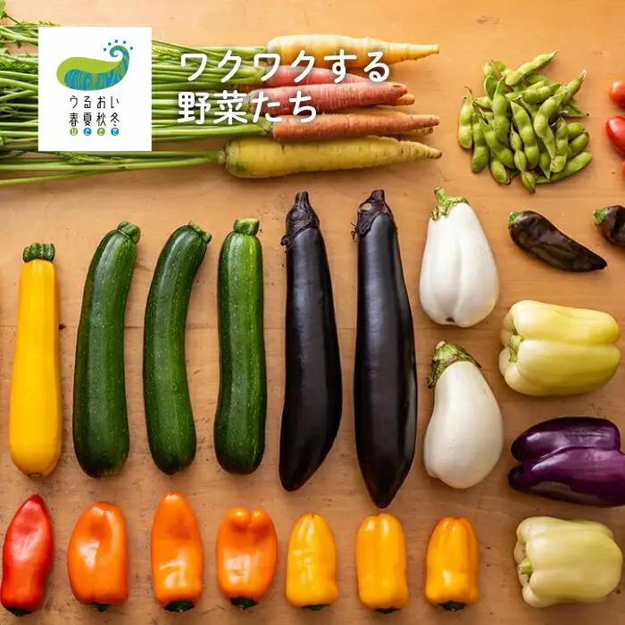 6ヶ月 定期便 四元豚 厳選カット肉 と 季節のうるおい野菜セット GIFTON ギフトン お歳暮 ギフト 豚肉 野菜 ｾｯﾄ 豚肉 焼肉 岩手県 北上市 ごえん O0038R0807 全6回 豚肉定