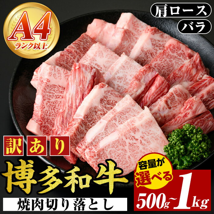 【ふるさと納税】≪訳あり・容量選べる≫【A4〜A5】博多和牛焼肉切り落とし(肩ロース・バラ)(計500g~1kg) 国産 九州産 福岡県産 牛肉 和牛 黒毛和牛 ヤキニク やきにく 焼き肉 お肉【MEAT PLUS】