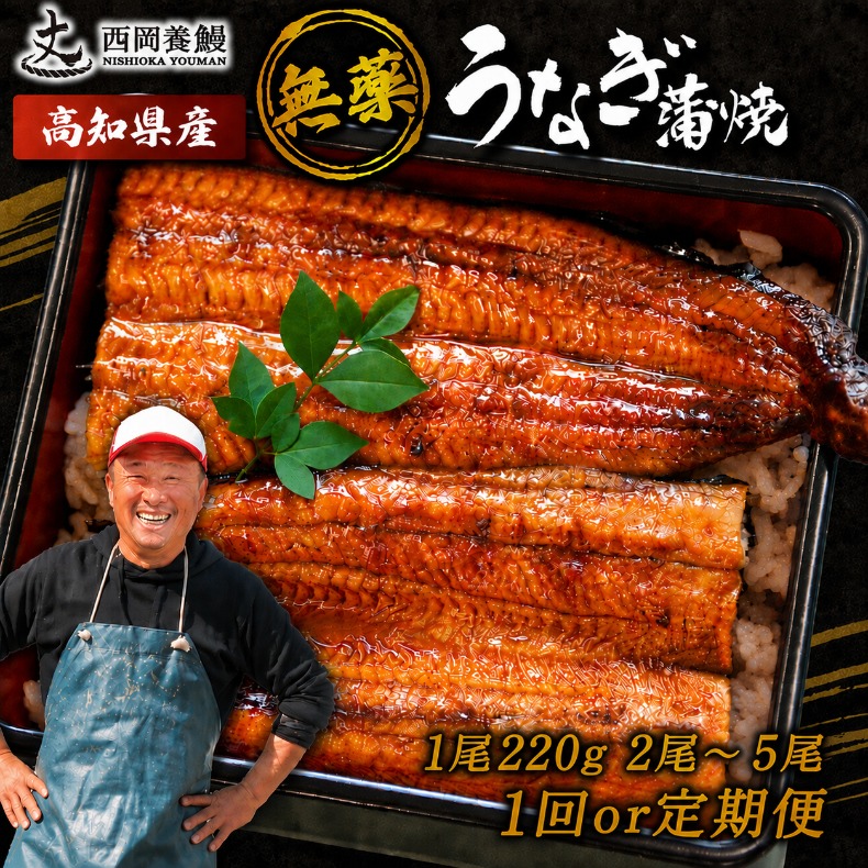 国産 うなぎ 蒲焼 1尾 220g 2尾 ~ 5尾 1回 2回 ～ 5回 定期便 高知県産 無添加 ▼ 国産 うなぎ 鰻 ウナギ 蒲焼 うなぎ 蒲焼き うなぎ タレ 山椒 付き うなぎ ウナギ 鰻 冷凍 鰻 うなぎ ウナギ 鰻 人気 ウナギ うなぎ おすすめ うなぎ おいしい unagi うなぎ