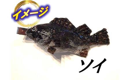 萬さん手作り、本物そっくり魚の模型ネクタイピン×6個 三陸山田産 山田町 山田湾 工芸品 職人技 匠 YD-941