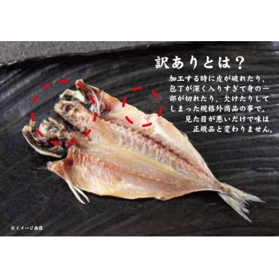 ふるさと納税 南伊豆町 味は本物!見た目は訳あり  やまきちの【訳あり】真あじひもの40枚 (2.0kg以上) |  | 01