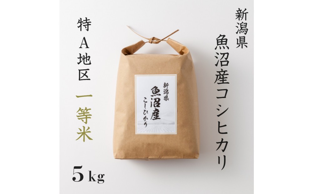 
                  《 特A 一等米 》 令和7年産 魚沼産 コシヒカリ 5kg新潟　新潟県　こしひかり　魚沼　特A地区　5キロ
                