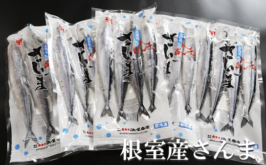 B-32021 【北海道根室産】冷凍生さんま40尾(4尾×10P)