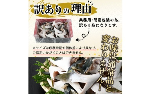 ＜訳あり＞ 無塩 ブリカマ (約3kg)大分県産 国産 ぶりかま ブリ ぶり 鰤 養殖ブリ 煮つけ 鰤かま カマ焼き 冷凍 大分県 佐伯市【ET002】【三宅水産】