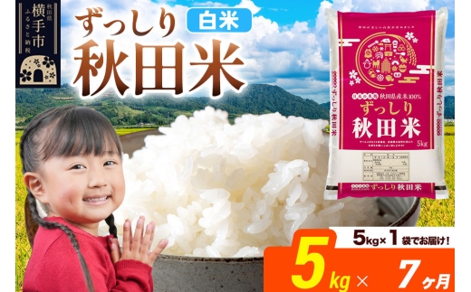 米《定期便7ヶ月》秋田県 横手市産 ブレンド米 令和7年産【白米】5kg（5kg×1袋） [米 お米 こめ 白米 精米 ブレンド米 小分け ご飯 ごはん 秋田県産 横手市]