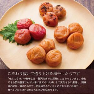 【A級品】紀州南高梅 田舎梅 500g 塩分10％ / 梅干し 梅干 うめぼし 南高梅 国産 梅 うめ ウメ 完熟 健康 ご飯のお供 昔ながら 贈り物 ギフト プレゼント お取り寄せ せんのうめ 和歌