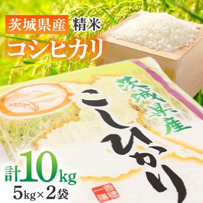 ふるさと納税 土浦市 【令和8年産】茨城県産 コシヒカリ 精米10kg ( 5kg ×2袋)  美味しい お米