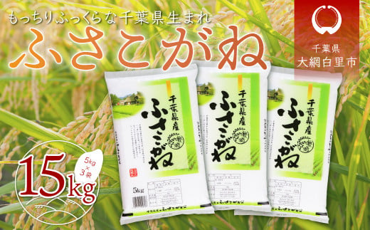 【新米】令和6年産 千葉県産「ふさこがね」15kg（5kg×3袋） お米 15kg 千葉県産 大網白里市 ふさこがね 米 精米 こめ 送料無料