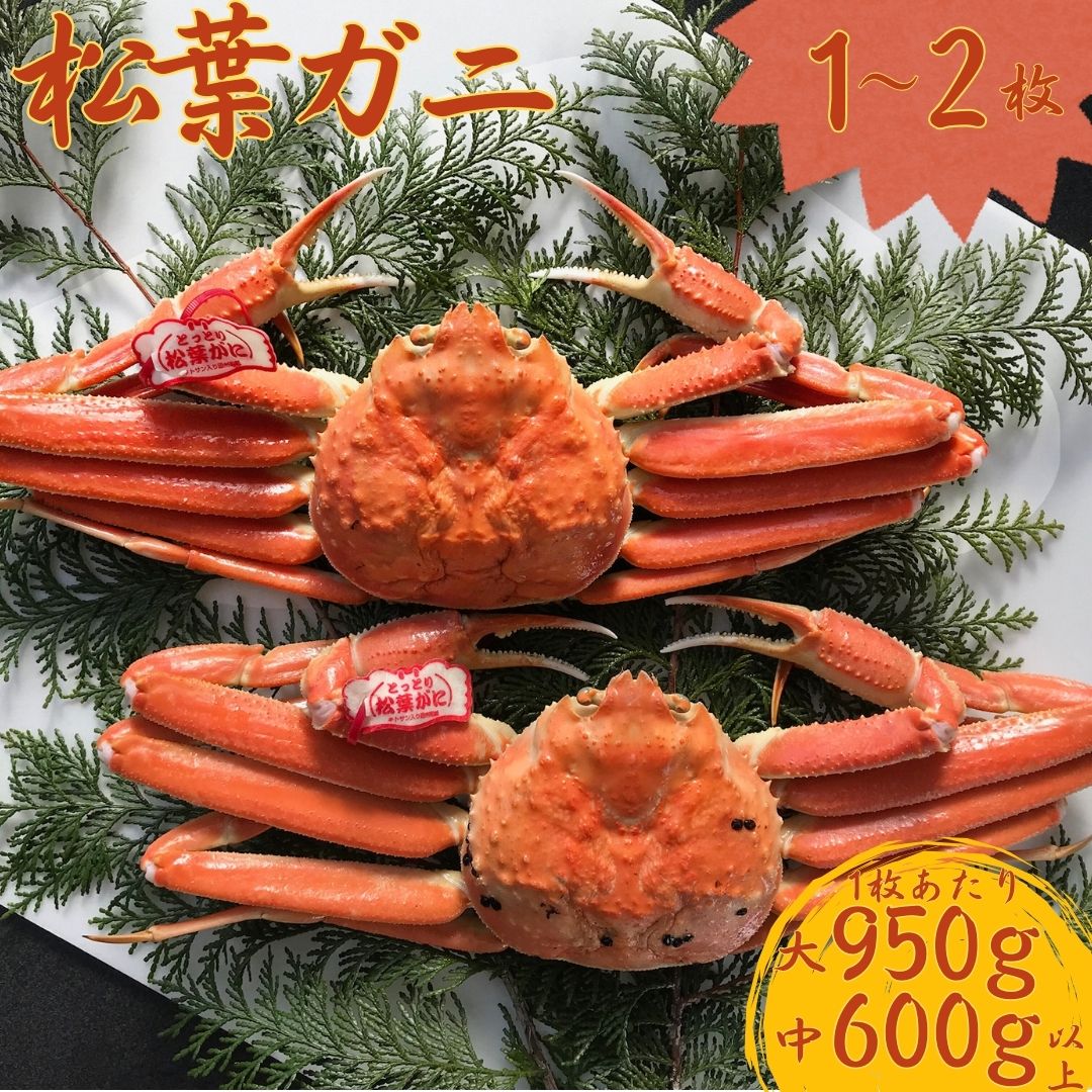 【ふるさと納税】 松葉ガニ 2枚 1枚 950g以上 600g以上 特大 タグ付き 浜ゆで | 蟹 かに 松葉蟹 浜下商店