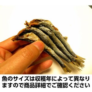 陸奥湾産 炭火焼き干し 500g【1657646】