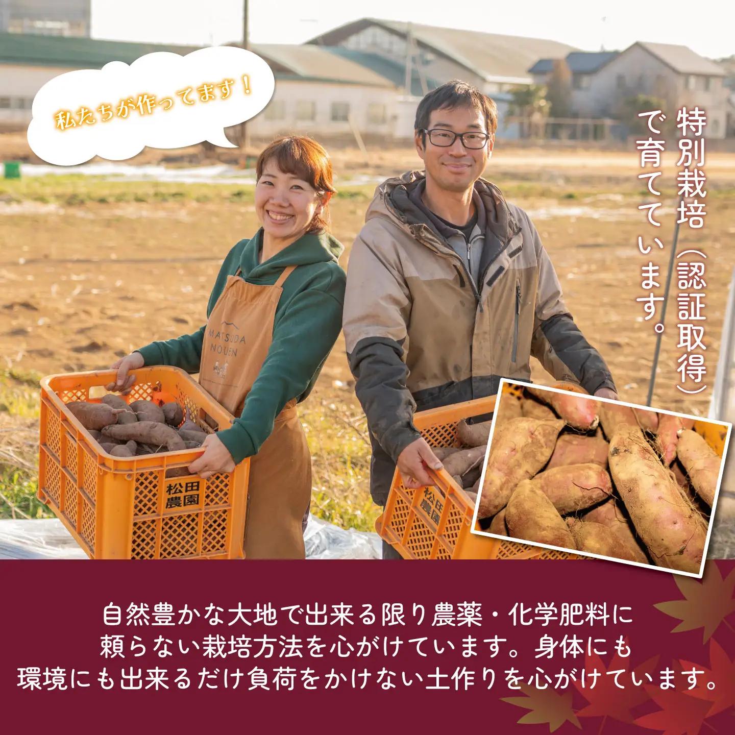 干し芋 紅はるか 超熟干し芋 900g 先行予約