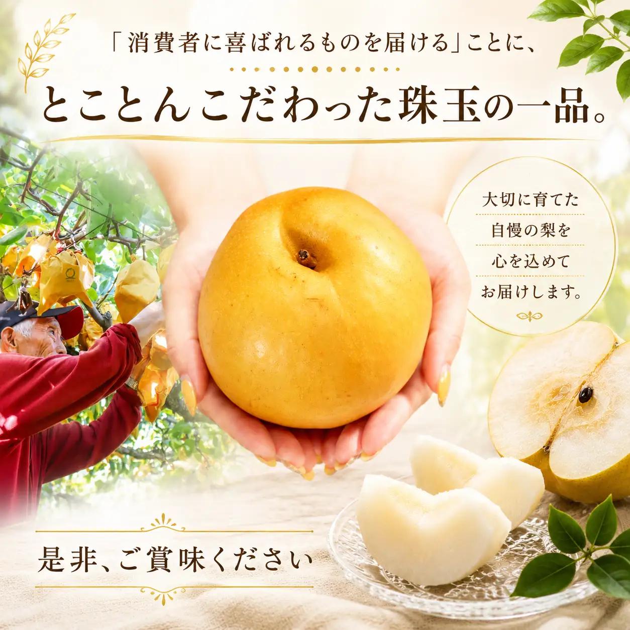 梨 5kg 豊水【2026年8月中旬頃から発送】 梨 IDG