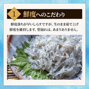 しらす 訳あり 2kg (200g×10パック) 小分け 釜揚げ しらす ごはん おかず チャーハン パスタ 料理 大きめ