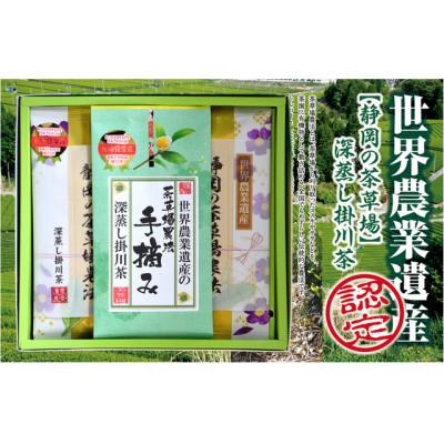 ふるさと納税 掛川市 世界農業遺産 静岡の茶草場農法 深蒸し掛川茶(手摘み60g×1袋・掛川茶100g×2袋)ギフトセット