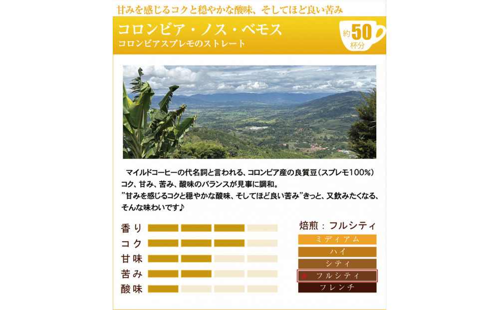 加藤珈琲店 四季で変わる3種のコーヒーセット 限定ブレンド入り 合計150杯分 粉 | 焙煎 コーヒー粉 深煎り 中煎り 粉コーヒー 珈琲 季節限定 ブレンド 飲み比べ 大容量 人気 おすすめ カフェ