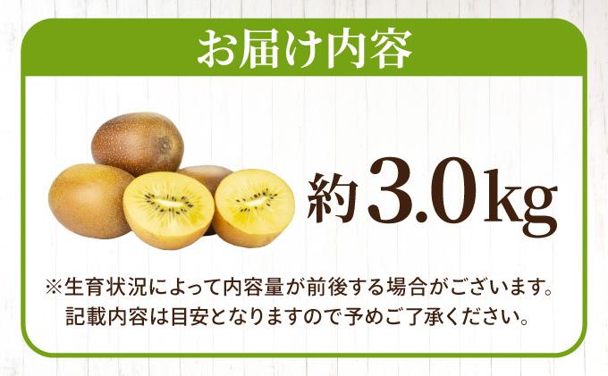【先行予約】希少 キウイ 甘うぃ 約3kg（2026年11月以降発送）|果物 旬 国産 産地直送 キウイキウイ キウイフルーツ キウィフルーツ 甘うぃ 送料無料 那珂川市 福岡県