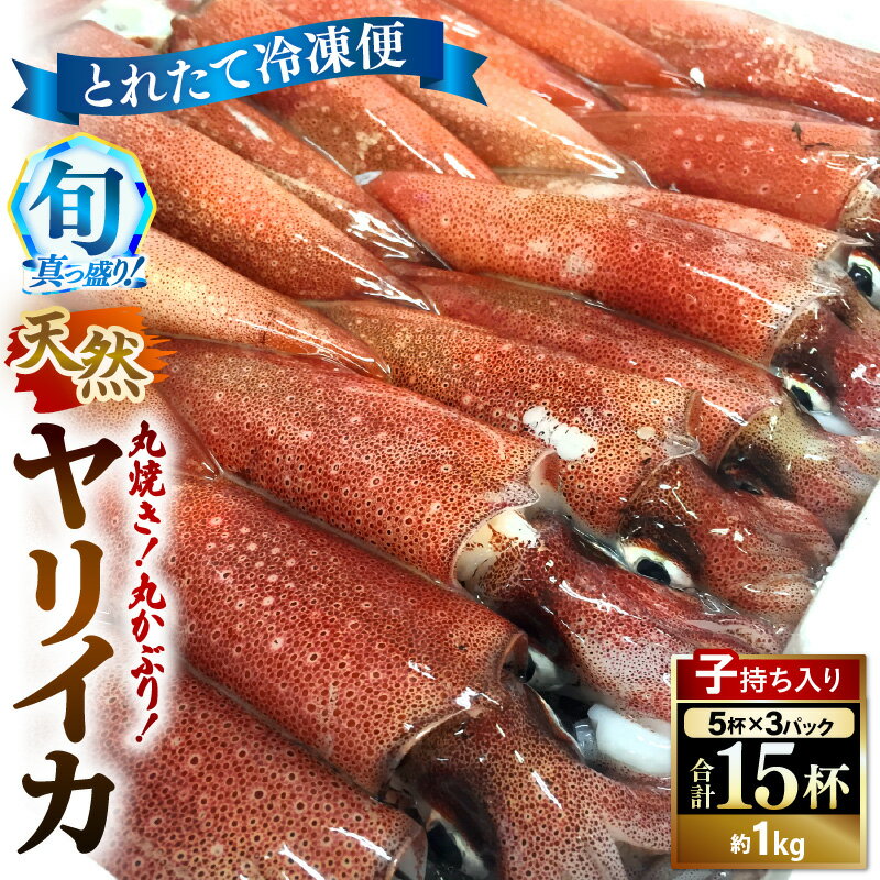 【ふるさと納税】旬真っ盛りの 天然 ヤリイカ 約1kg（約15尾）とれたて冷凍便 丸焼き丸かぶり！イカ いか ケンサキイカ 剣先イカ 海鮮 刺身 下処理済み 冷凍 イカ焼き 一夜干し [m21-a007]