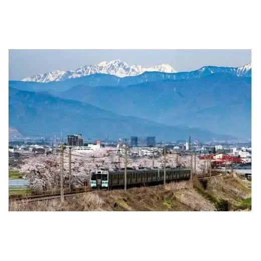 塩尻産プレミアムワイン（林農園（五一わいん） ロイヤル 白）