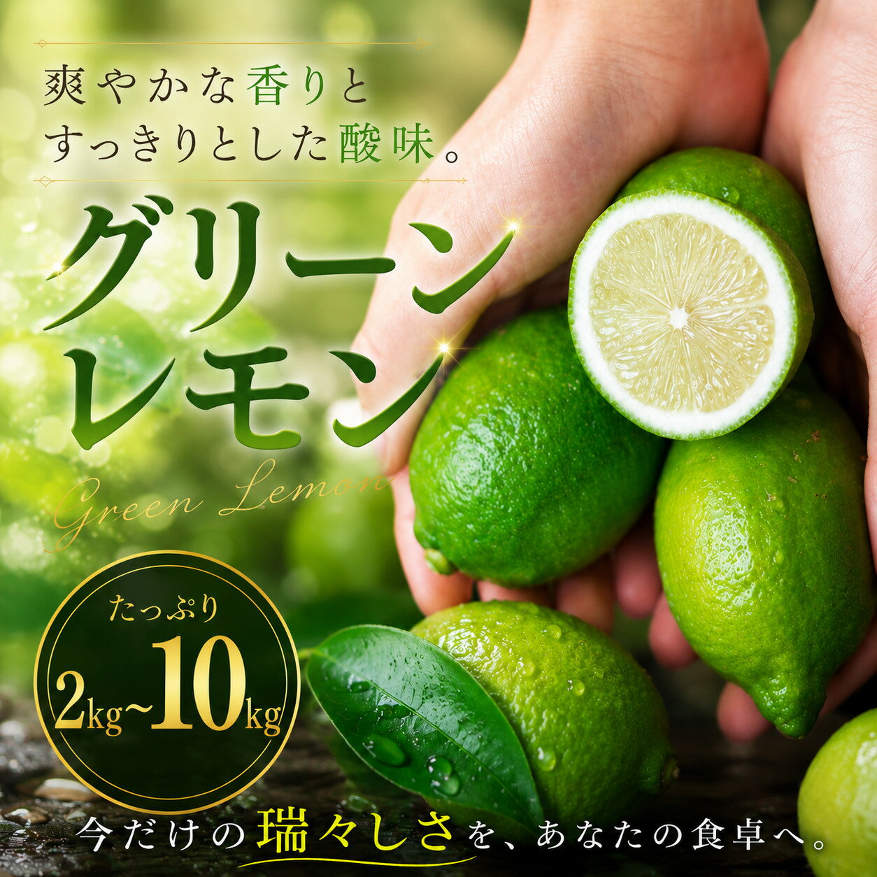 【ふるさと納税】 【選び抜いた一箱】 鮮烈な酸味 【グリーンレモン】 2kg/3kg/4kg/5kg/10kg 愛媛県産 【2026年9月下旬頃から順次発送】 | れもん レモン lemon 檸檬 訳あり フルーツ 柑橘 果物 おすすめ お勧め お取り寄せ ギフト 愛媛県 松山市