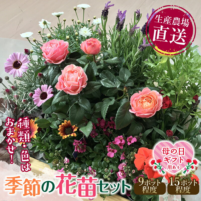 【ふるさと納税】＼選べる数量／【母の日ギフト用あり】生産農場直送！季節の花苗セット 9 or 15ポット 花苗 苗 セット 寄せ植え 花壇 ガーデニング ふるさと納税 F6L-415var