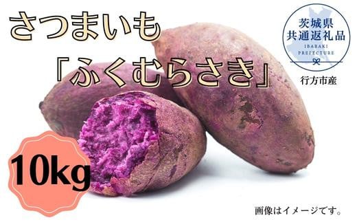 さつまいも「ふくむらさき」約10kg（2025年産）（茨城県共通返礼品・行方市産） ／ さつまいも さつま芋 サツマイモ 薩摩芋 甘薯 ふくむらさき 紅芋 10kg 野菜 茨城県 送料無料