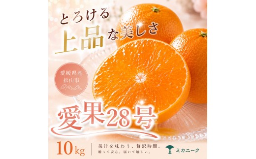【数に限りあり】ゼリー食感【愛果28号（紅まどんなと同品種）】10kg 愛媛県産 【2026年11月下旬頃から順次発送】 | みかん 愛果28号 あいか 紅マドンナ 紅まどんな と同品種 蜜柑 アイカ 柑橘 果物 愛媛のみかん 贈答 くだもの フルーツ ご家庭用 数量限定 愛媛三大柑橘（ 紅まどんな せとか 甘平 ） 愛媛県産 ミカン 愛媛県 松山市