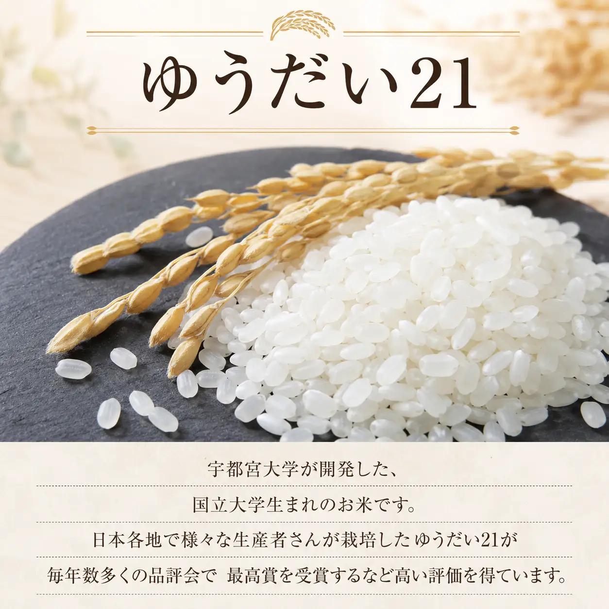 【新米 先行予約】 令和8年産米 ゆうだい21 白米 2kg