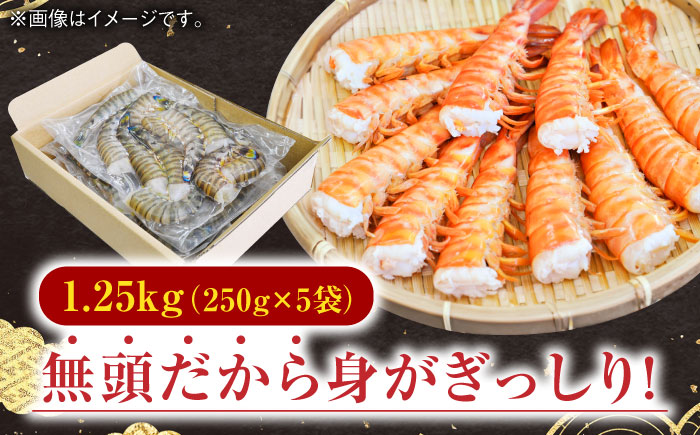 ＜加熱用＞伊万里特産 無頭冷凍車海老 計1.25kg（250g×5袋）/ 佐賀県 / 株式会社 拓水 伊万里クルマエビセンター [41AEAJ009]