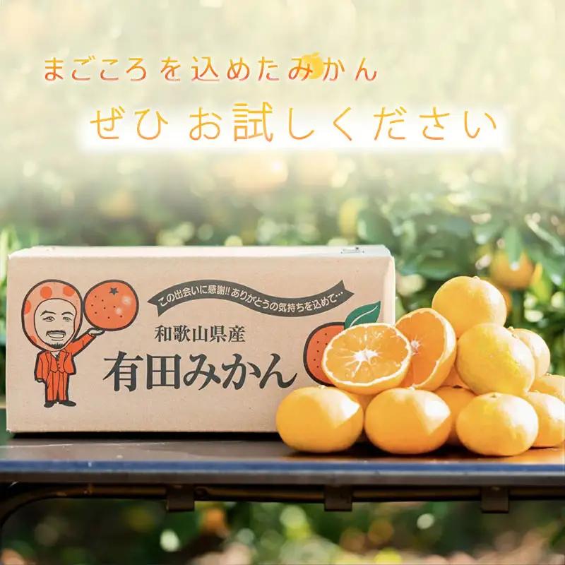 【2027年先行予約】和歌山県産 有田の八朔 (はっさく) 約10kg【2L～4Lサイズ混合】まごころ手選別 _ZE6155n