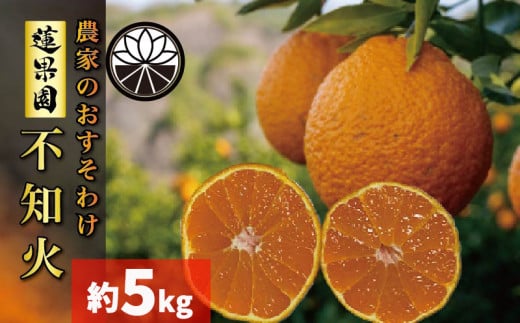 【先行予約】 【2026年2月下旬から発送】不知火（デコポンと同一品種） B品 家庭用 5kg | 愛媛産 愛媛県産 国産 愛媛みかん 愛媛蜜柑 愛媛ミカン みかん ミカン mikan 蜜柑 柑橘 フルーツ 果物 くだもの お取り寄せ 産地直送 数量限定 人気 おすすめ 愛媛県 松山市 送料無料