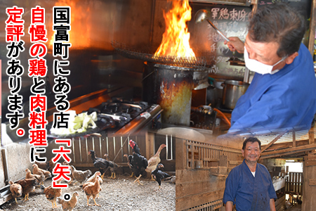 ＜六矢の焼豚 合計900g（250g×3袋）＞翌月末迄に順次出荷【b0431_mt】