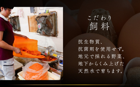 【6ヶ月連続お届け】 福井ブランド 「福地鶏」 の卵 20個 濃厚で甘くておいしい！  定期便 ／ 卵 たまご 鶏卵 生卵 有精卵 高級 高級卵 福地鶏 鶏 平飼い 美味しい こだわり 6ヶ月 定期便