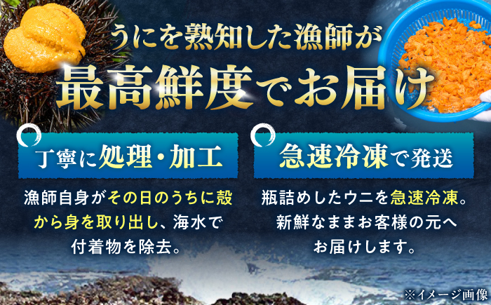 漁師の 塩ウニ 4本 《対馬市》 【漁昇丸水産】 うに 瓶 ビン 海鮮 冷凍 [WBU005]